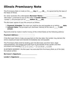 Official Illinois Promissory Note Document