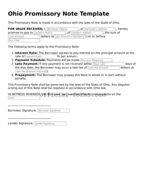 Official Ohio Promissory Note Document