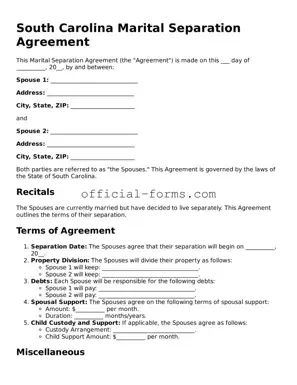 Official South Carolina Marital Separation Agreement Document