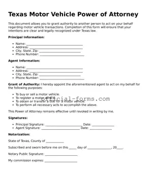 Official Texas Motor Vehicle Power of Attorney Document
