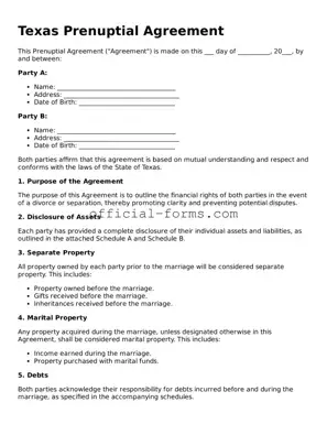 Official Texas Prenuptial Agreement Document