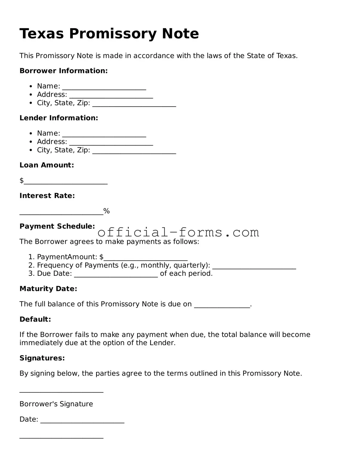 Official Texas Promissory Note Document